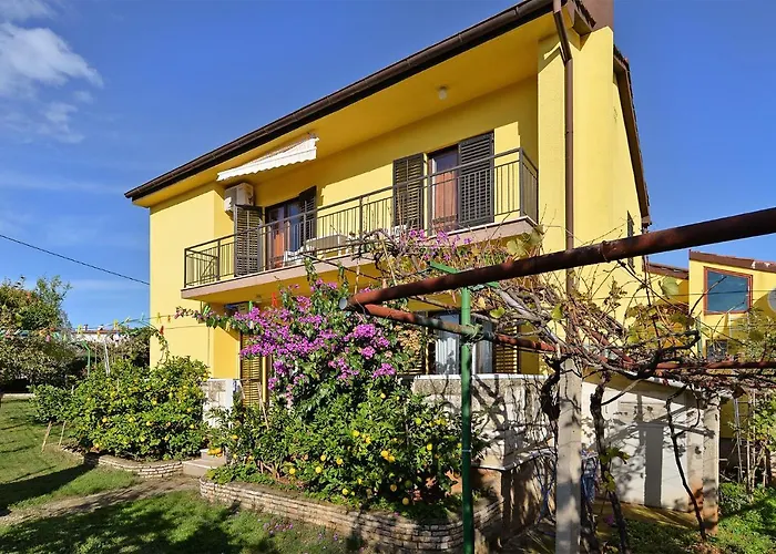 Danijel 1956 아파트 풀라